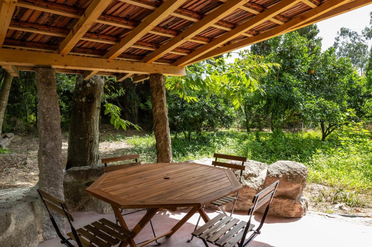 Casas Do Capitao - Paiva Valley - Pool And Nature Castelo de Paiva Buitenkant foto